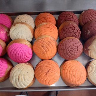 Conchas de Colores